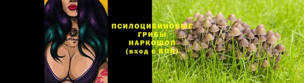 PSILOCYBIN Армянск