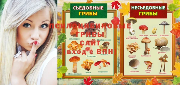 PSILOCYBIN Армянск