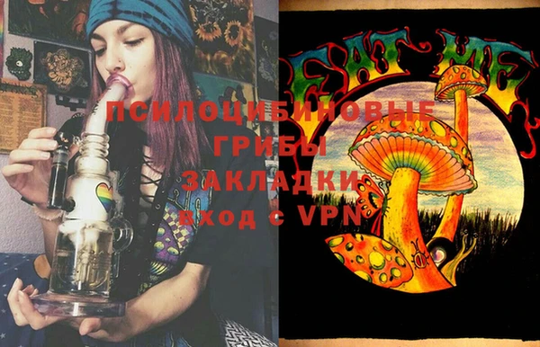 PSILOCYBIN Алексеевка