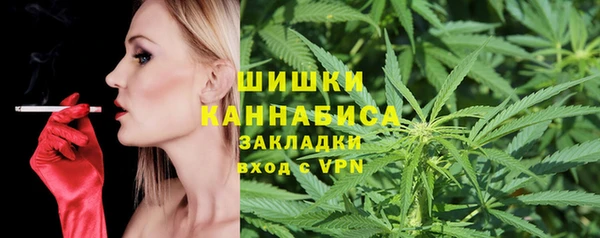PSILOCYBIN Армянск